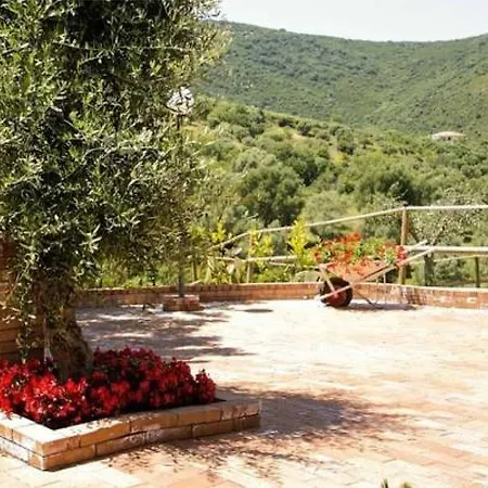Bed & Breakfast Miglino